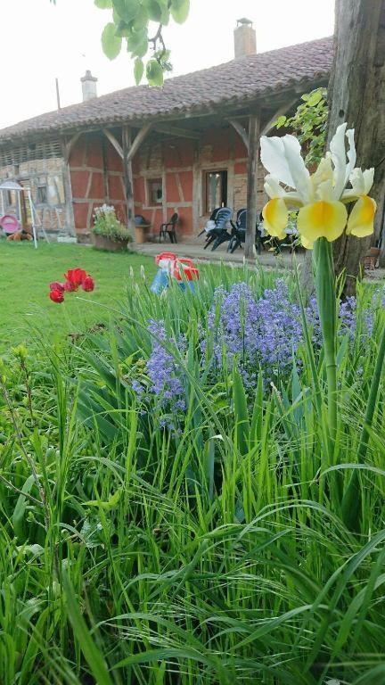 A La Poularde B&B Curciat-Dongalon Zimmer foto